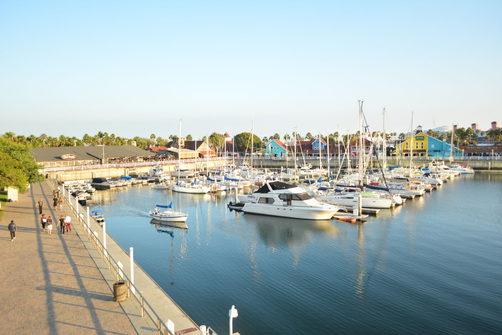 Nikon D5200 sample photo