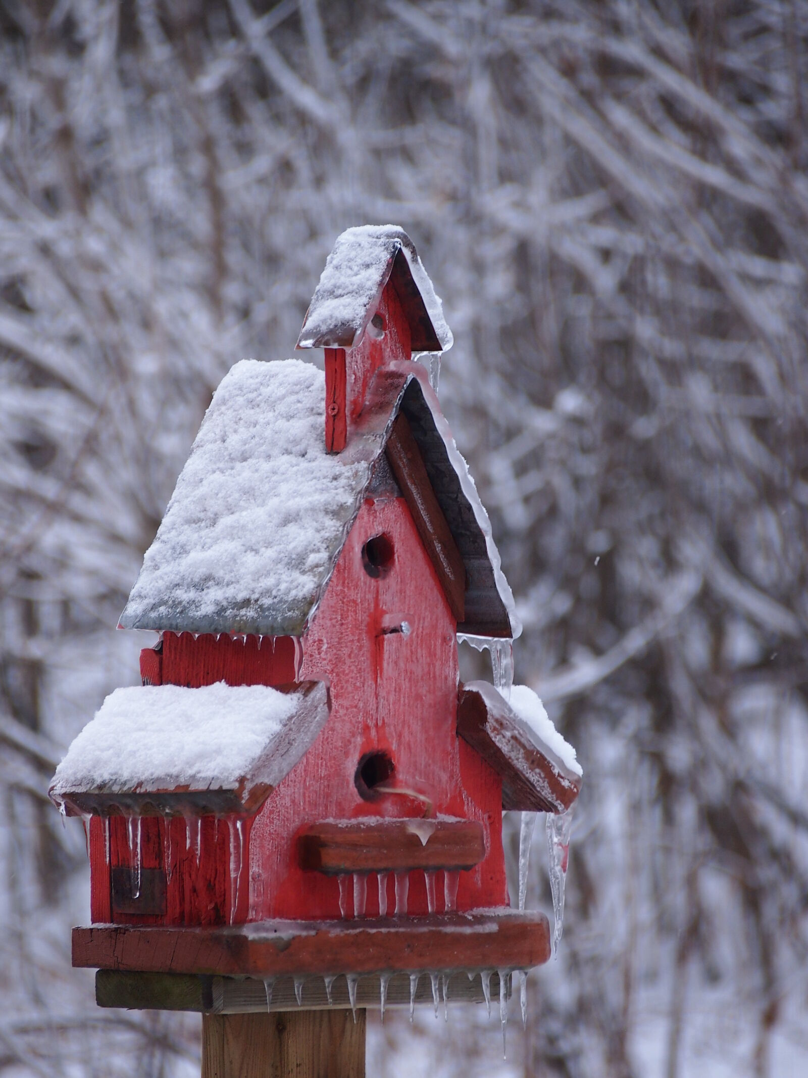 Olympus PEN E-PM1 sample photo. Birdhouse, ice, icicle, red photography