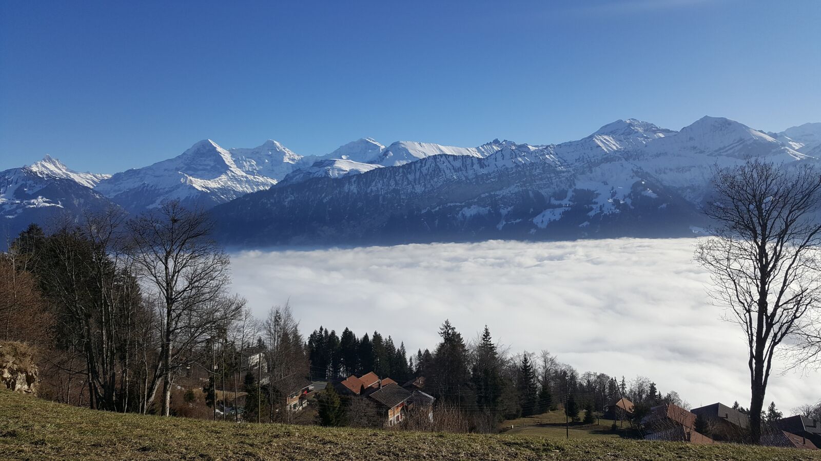 Samsung Galaxy S6 sample photo. Sea of fog, alpine photography