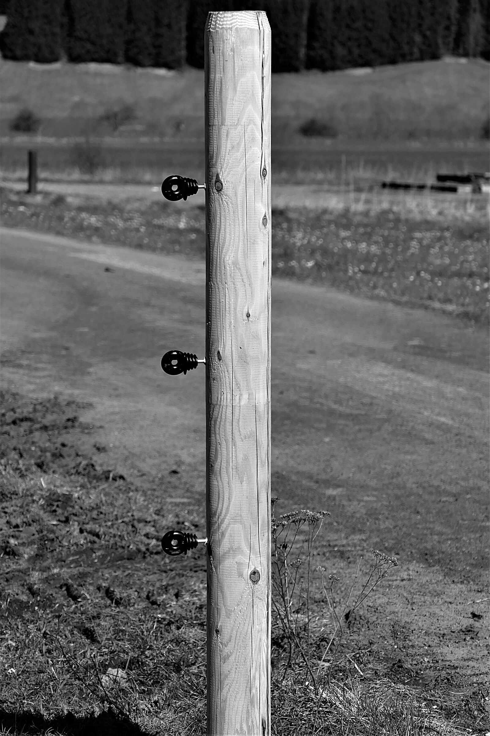 Panasonic Lumix DMC-FZ1000 sample photo. Fence post, s w photography