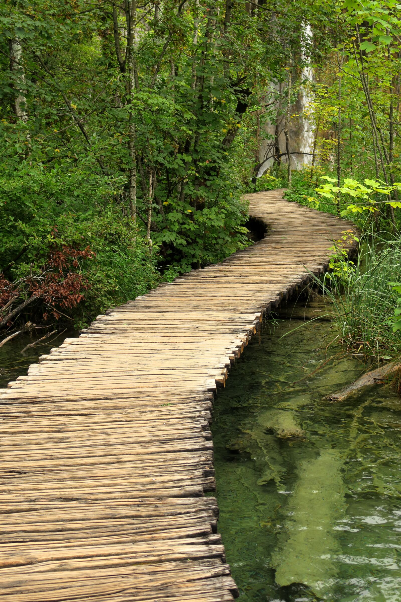 Canon PowerShot G3 X sample photo. National park, away, wooden photography