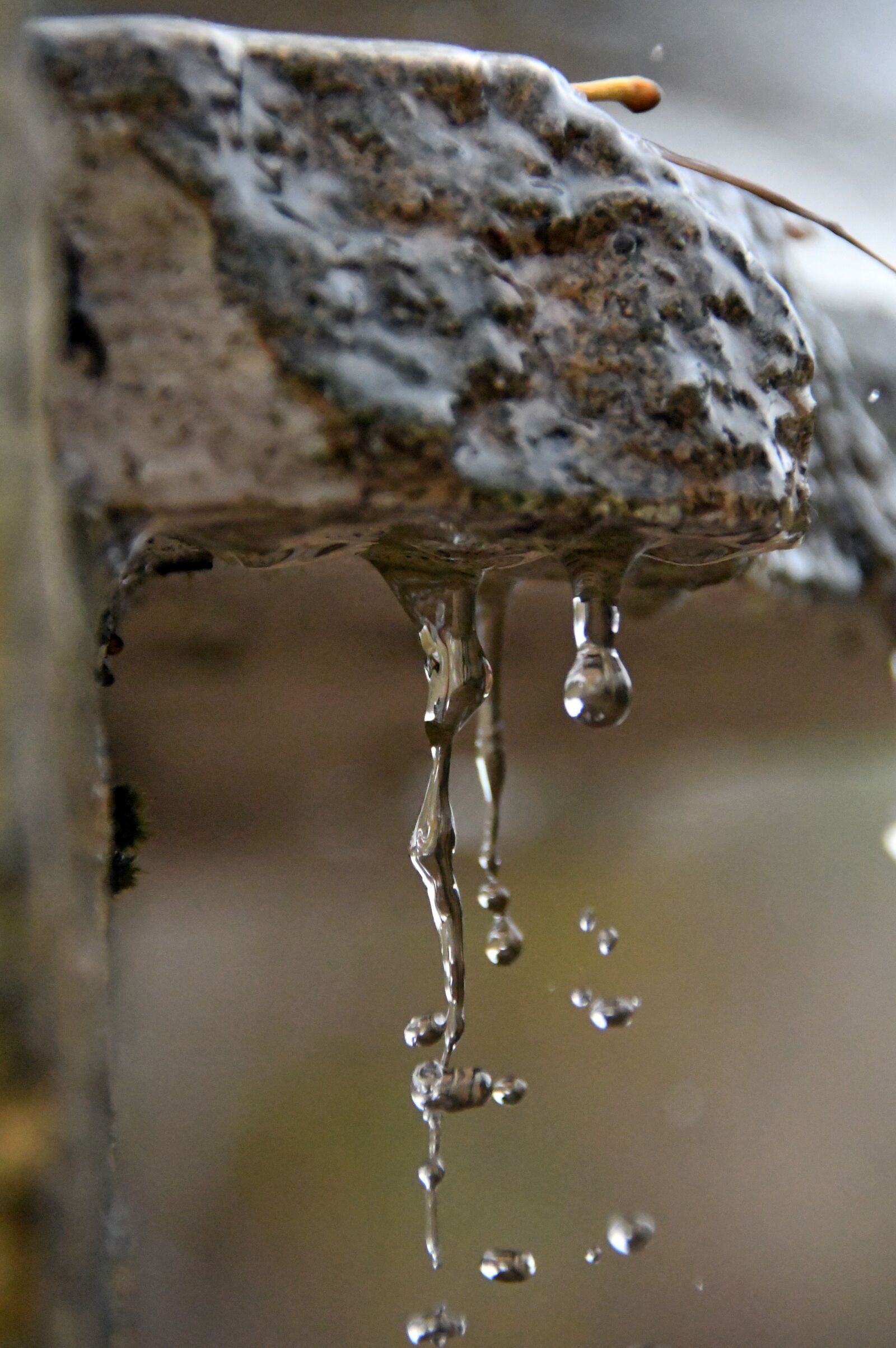 Nikon D3200 sample photo. Just add water, splash photography