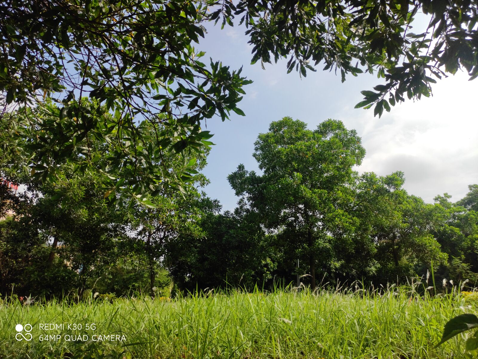 Xiaomi Redmi K30 5G sample photo. Eat, sleep, learning photography
