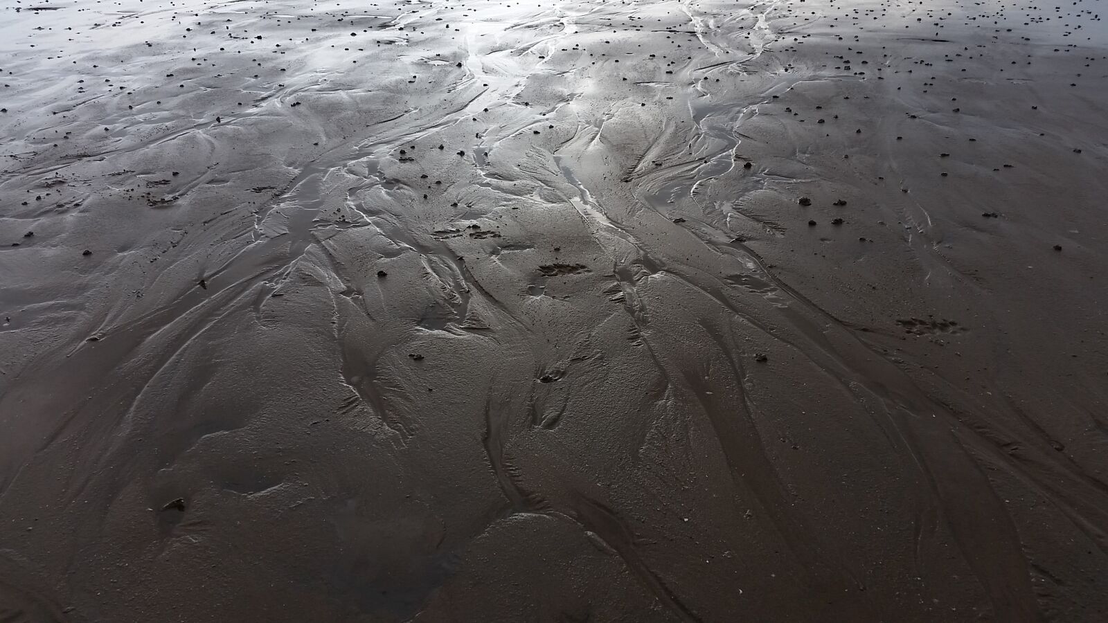 Samsung Galaxy S5 sample photo. Priel, wadden sea, watts photography