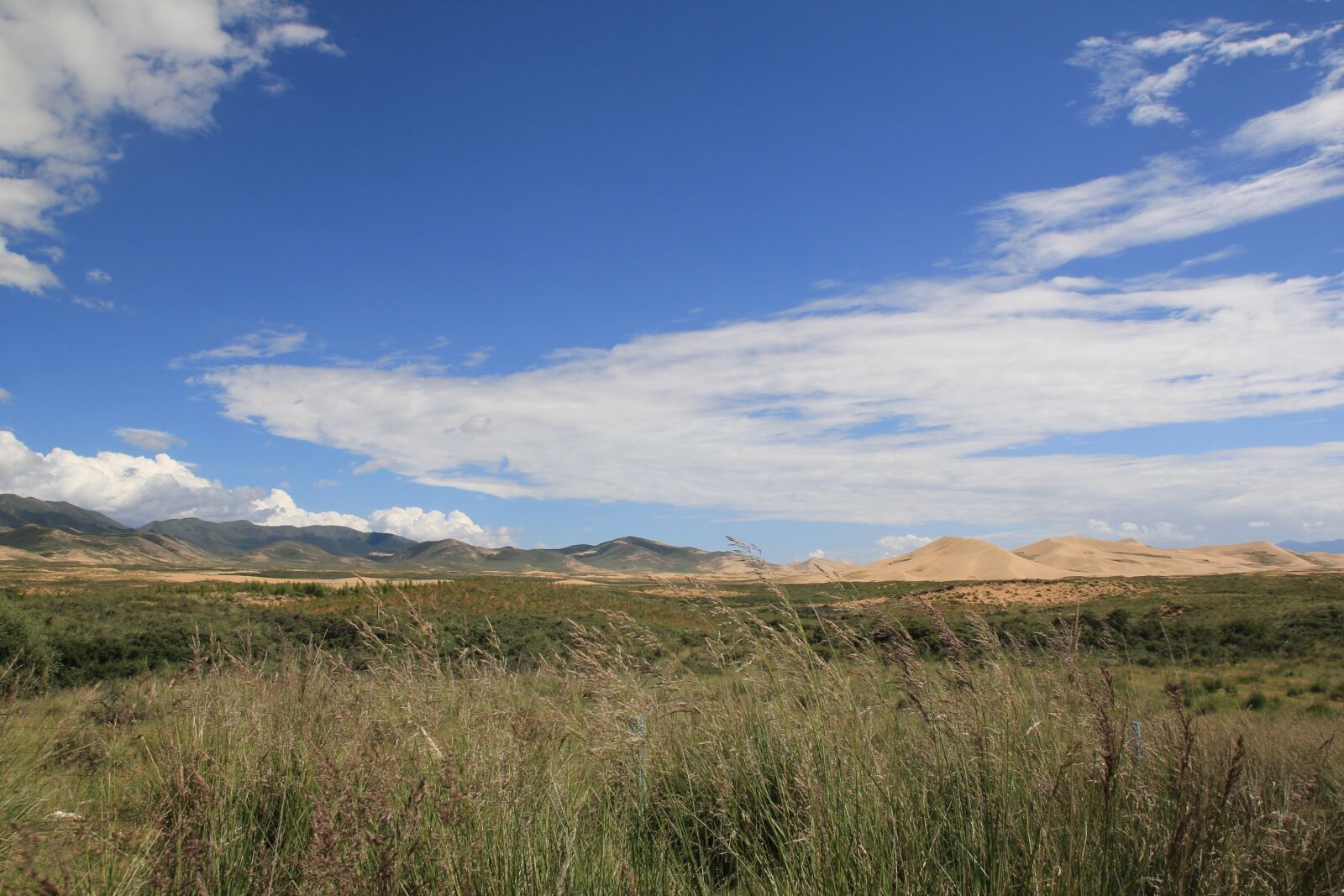 Canon EOS 60D sample photo. Qinghai lake, desert, oasis photography