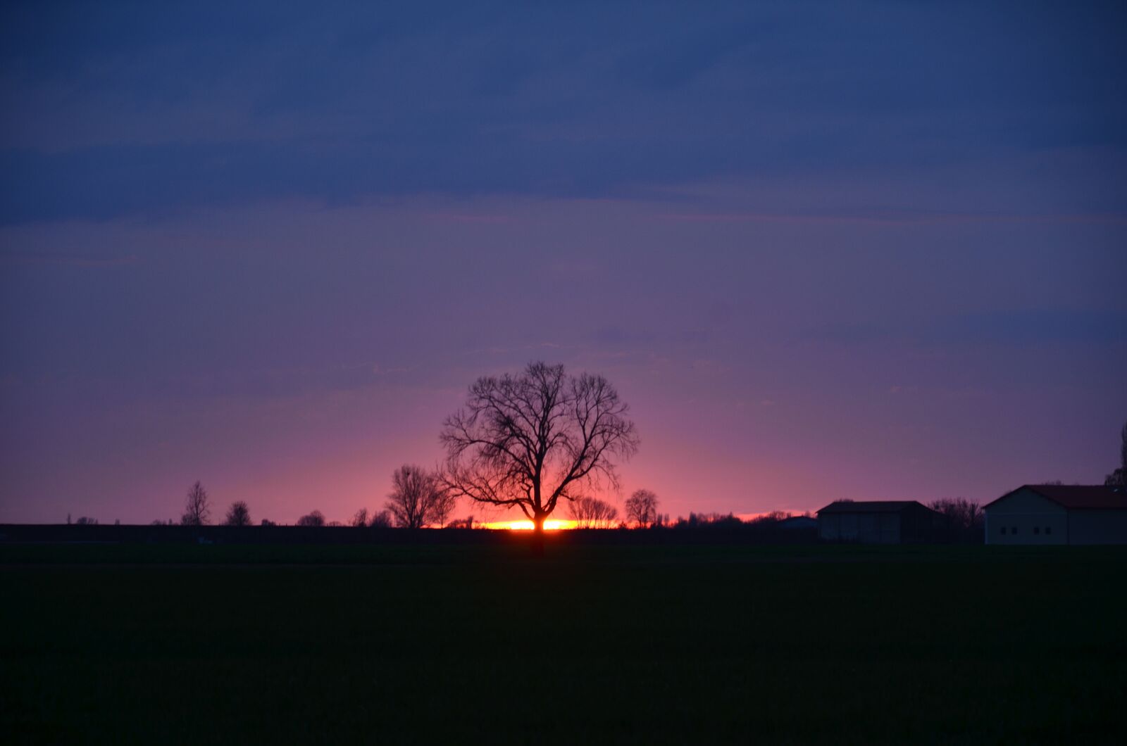 Nikon D7000 sample photo. Nature, tree, landscape photography