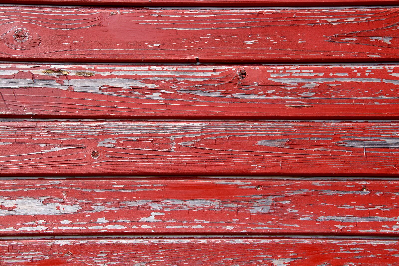 Canon EOS 650D (EOS Rebel T4i / EOS Kiss X6i) sample photo. Wood, texture, background photography
