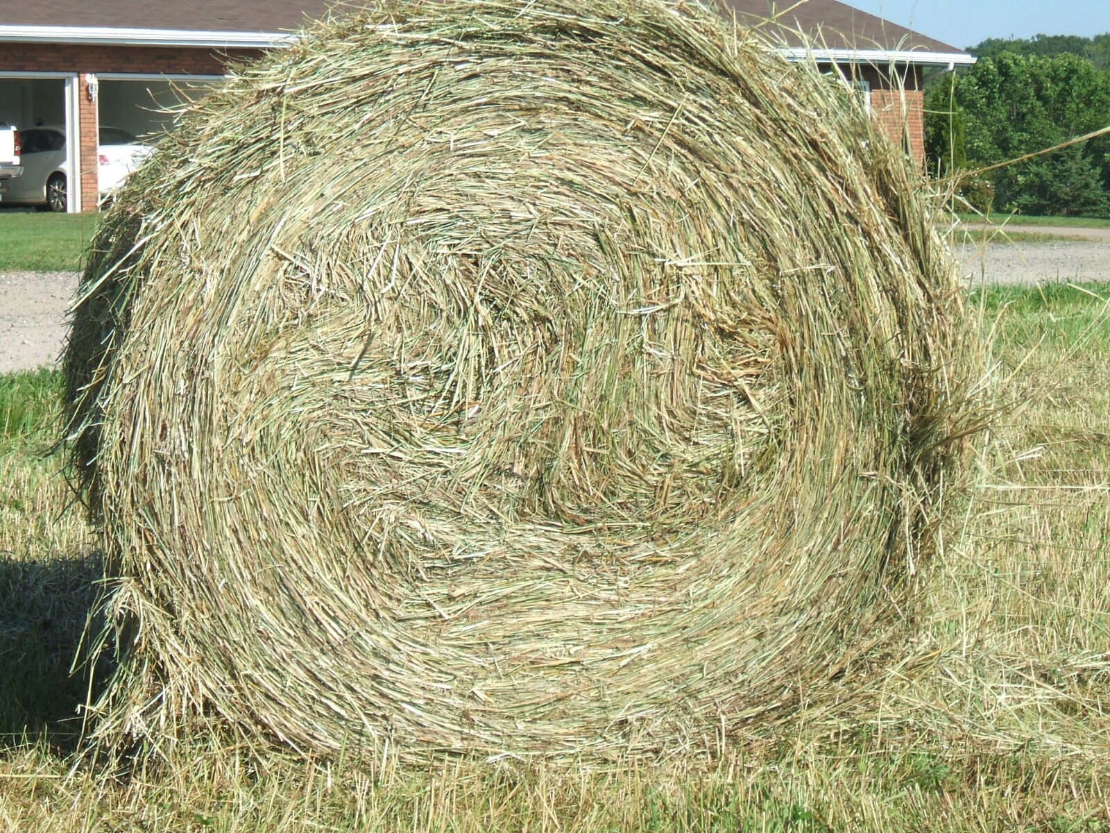 Fujifilm FinePix A400 sample photo. Harvest, hay, bales photography