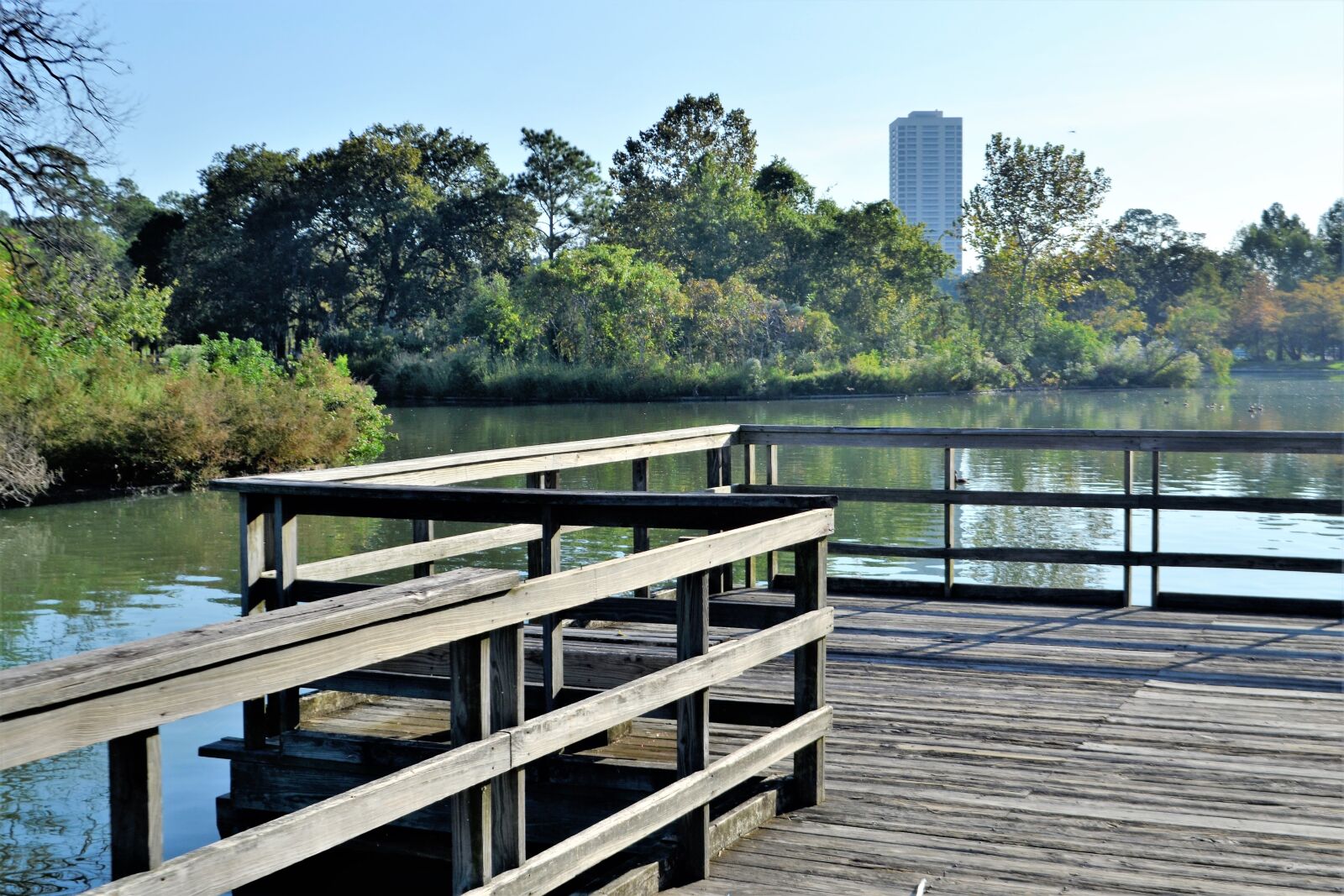 Nikon D3100 sample photo. Herman park, houston texas photography