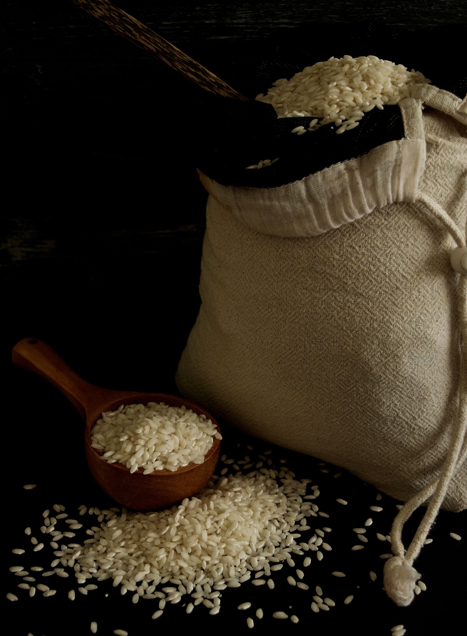 Nikon D3300 sample photo. Risotto rice, rice, italian photography