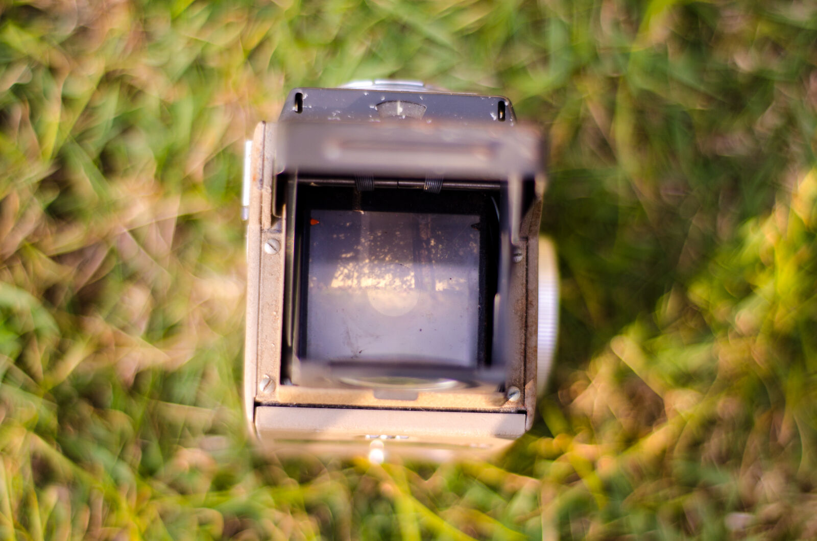 Nikon AF Nikkor 50mm F1.8D sample photo. Grass, photo, reflection, vintage photography