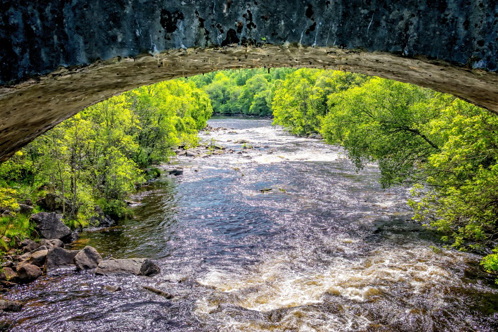 Nikon D3300 sample photo. River, bridge, scotland photography