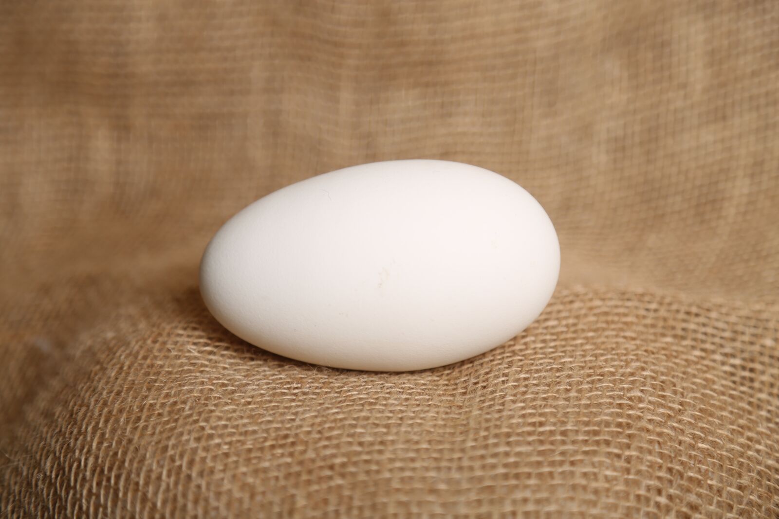 Canon EF 24-105mm F4L IS USM sample photo. Egg, easter, spring photography