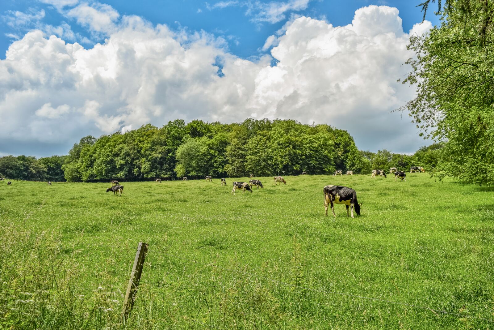 Nikon D3300 sample photo. Landscape, nature, clouds photography