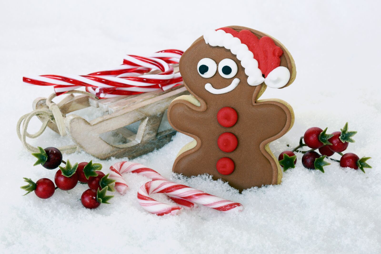Nikon D7100 sample photo. Gingerbread man, gingerbread, christmas photography