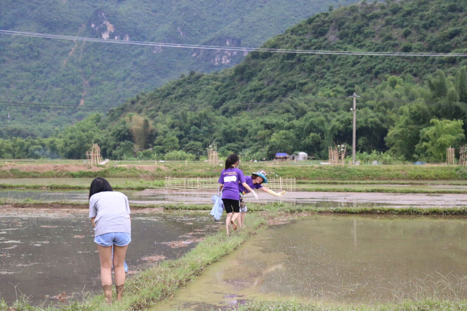 Canon EOS 70D sample photo
