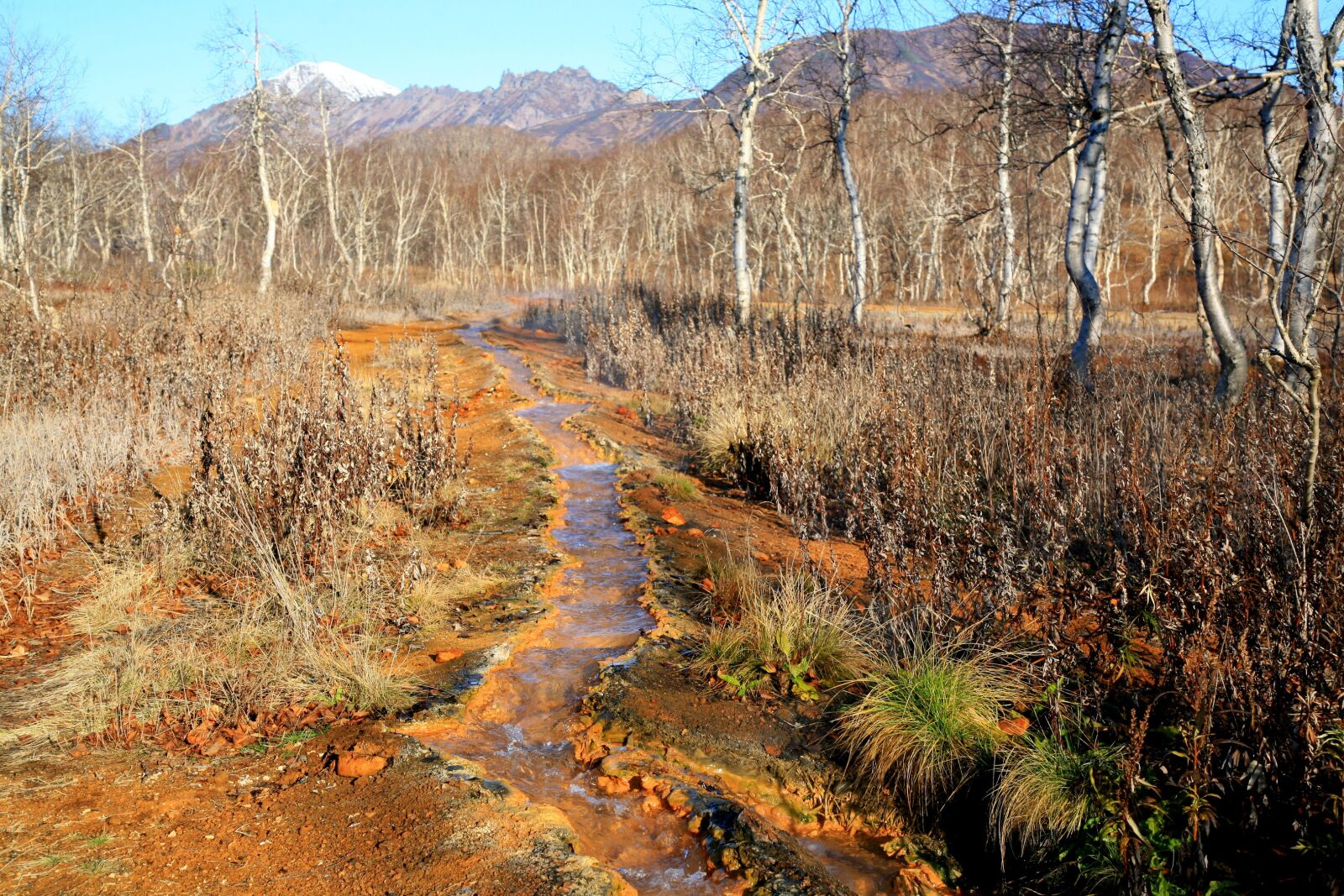 Canon EOS 5D sample photo. Hot spring, forest, mountains photography