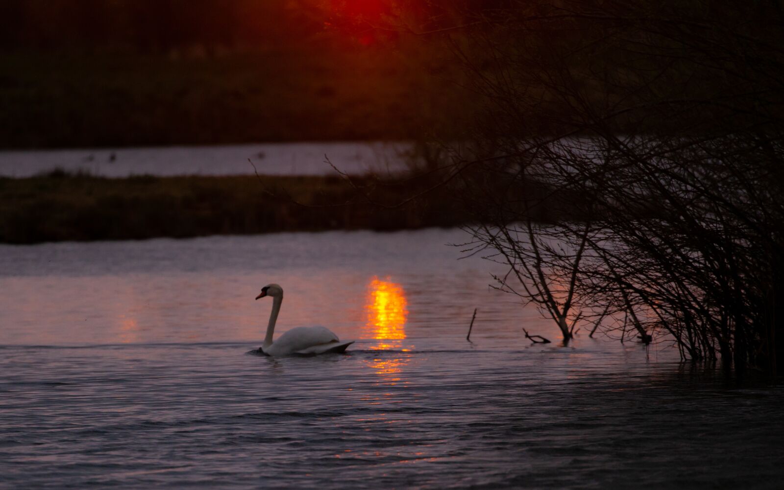Canon EOS 5D Mark II sample photo. Sunrise, water, tree photography