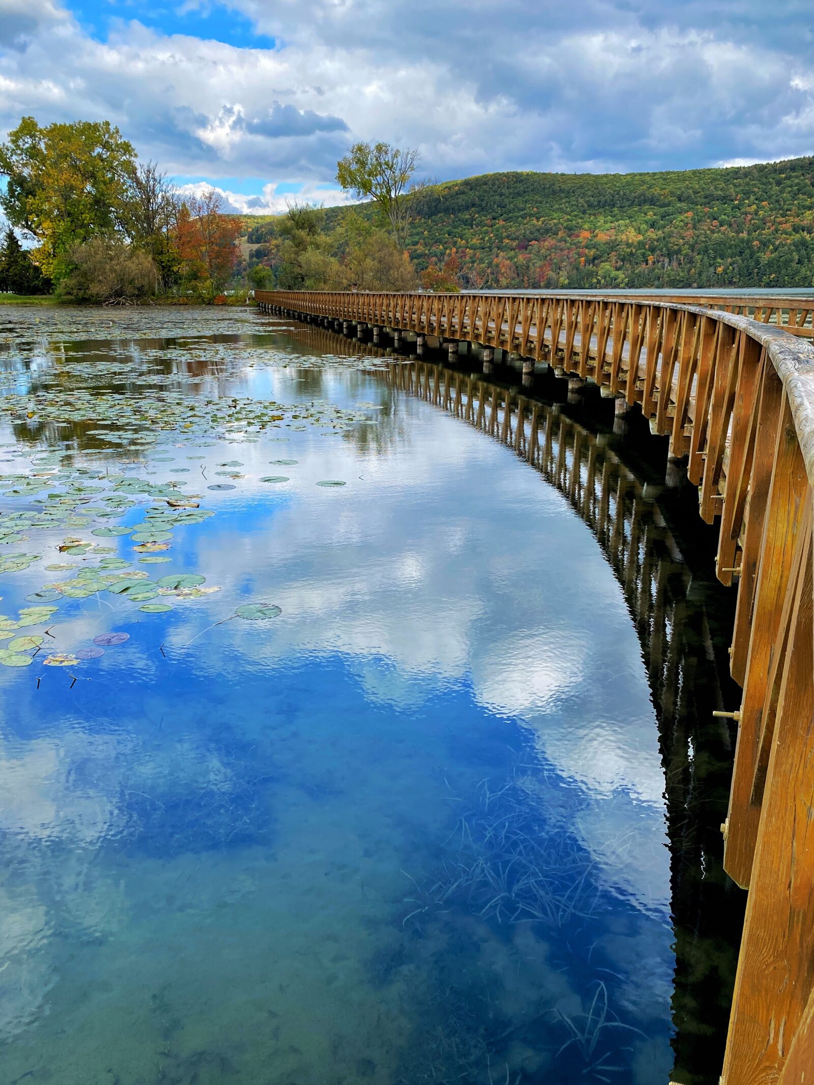 iPhone 11 back dual wide camera 4.25mm f/1.8 sample photo. Bridge, lake, nature photography