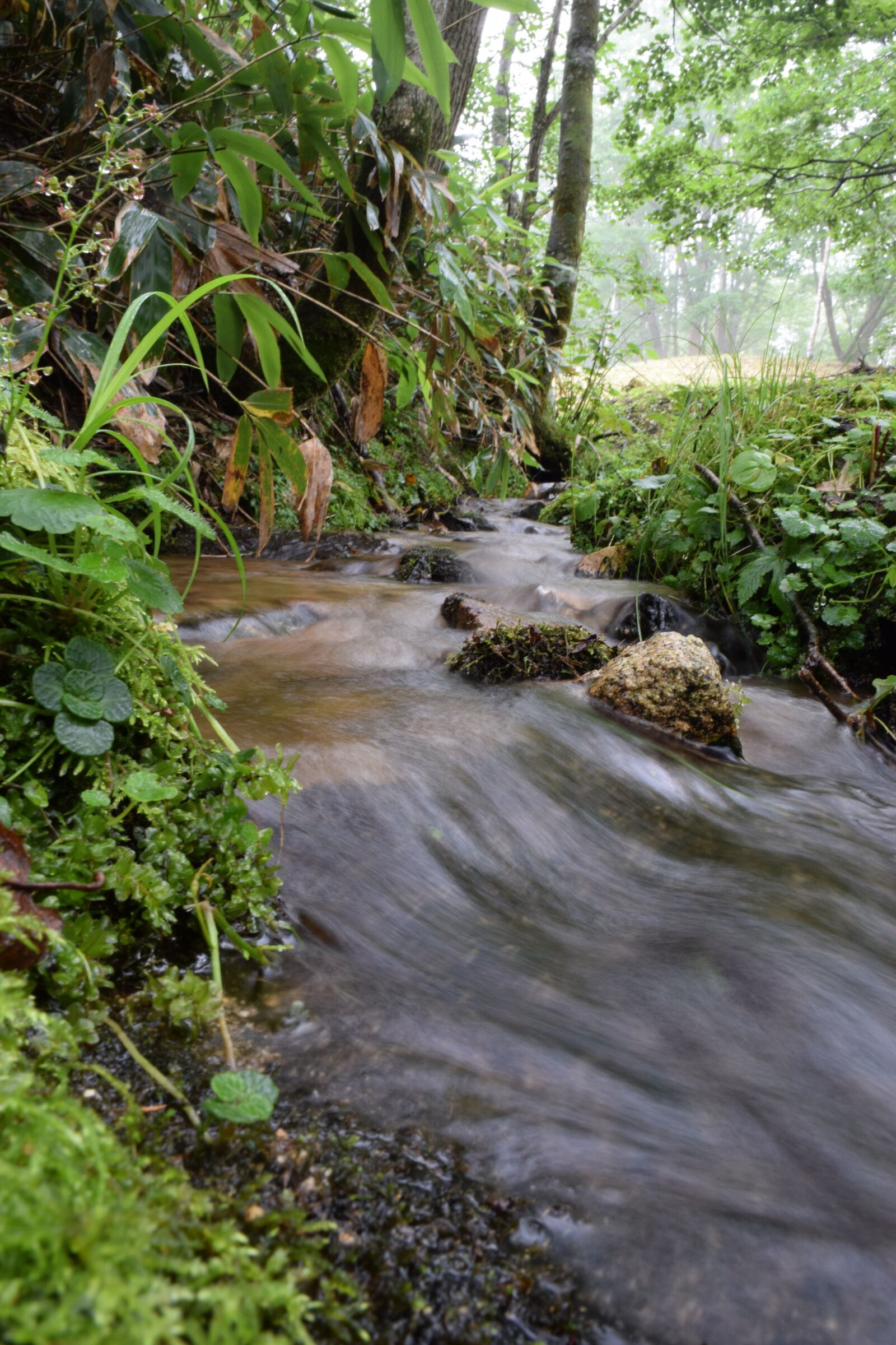 Nikon D5300 sample photo. Hokkaido, natural, river photography