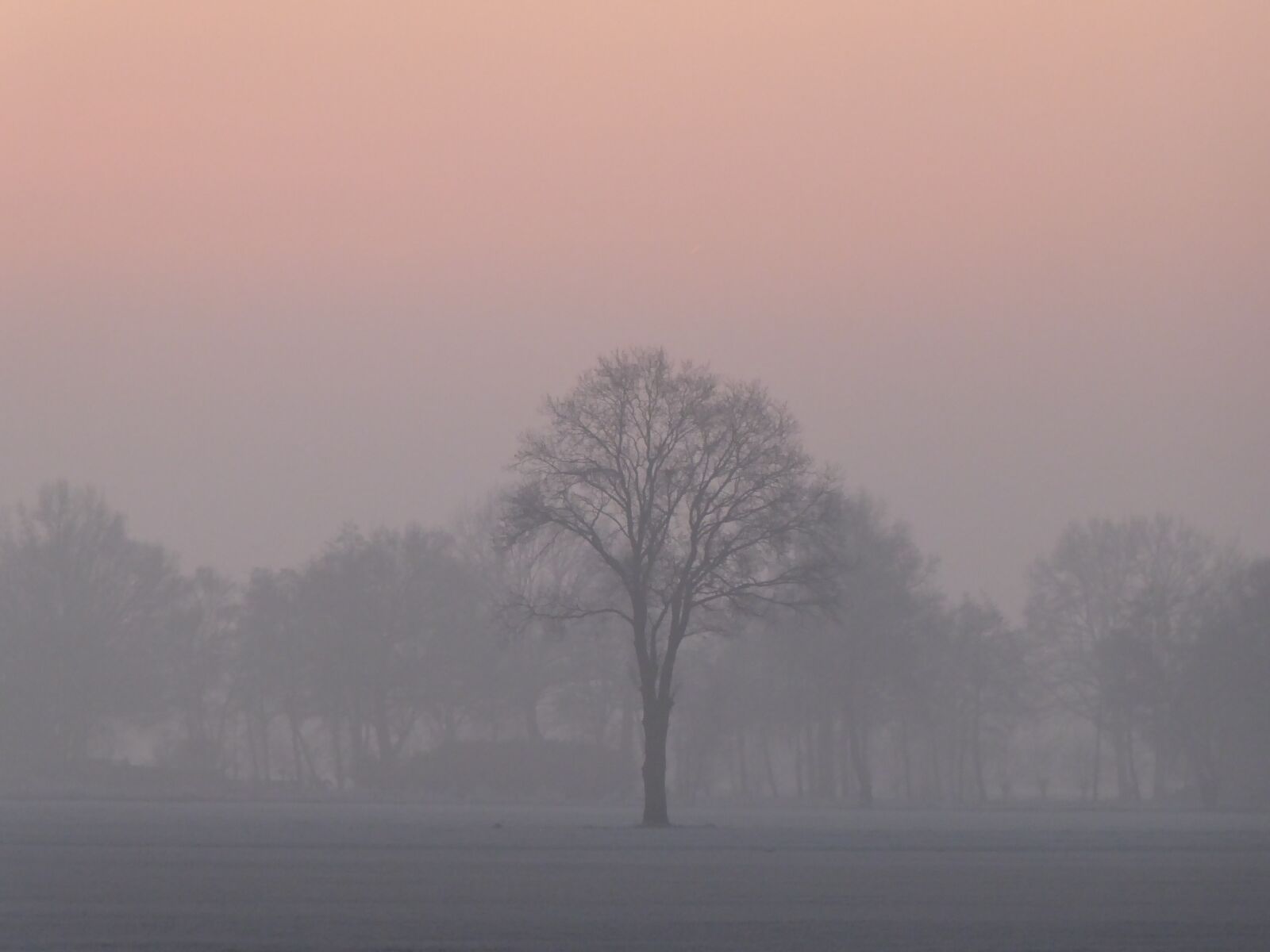 Panasonic Lumix DMC-ZS50 (Lumix DMC-TZ70) sample photo. Sunrise, winter, fog photography