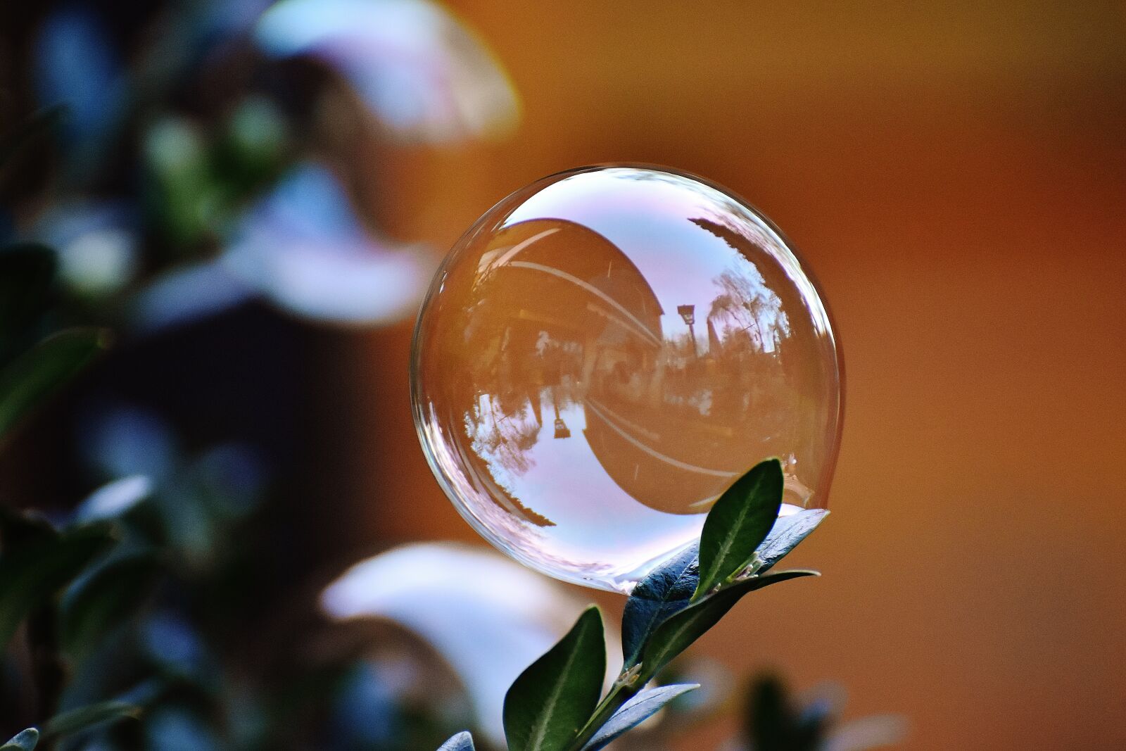 Nikon D7200 sample photo. Soap bubble, colorful, buxbaum photography