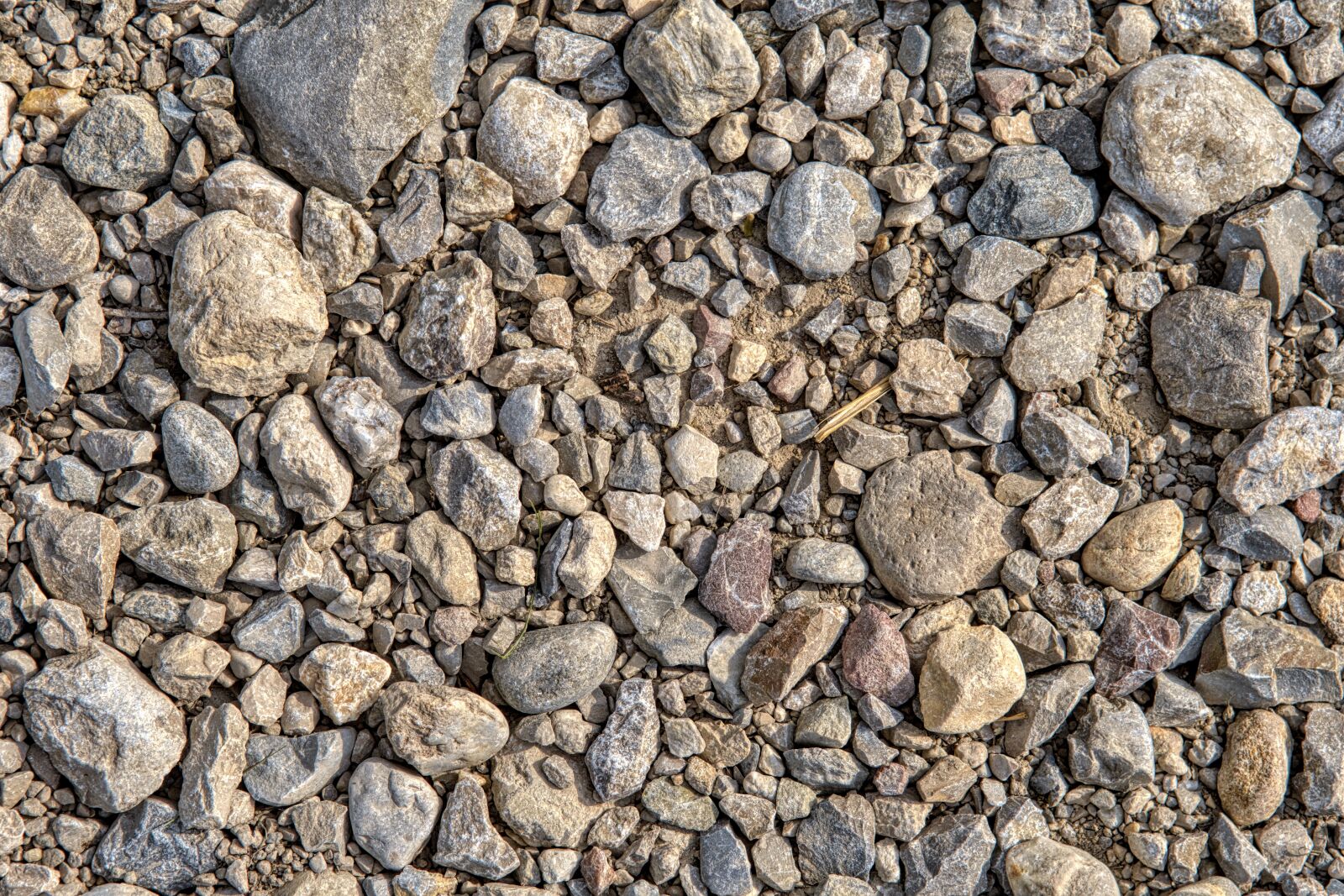 Nikon D7500 sample photo. Background, texture, pattern photography