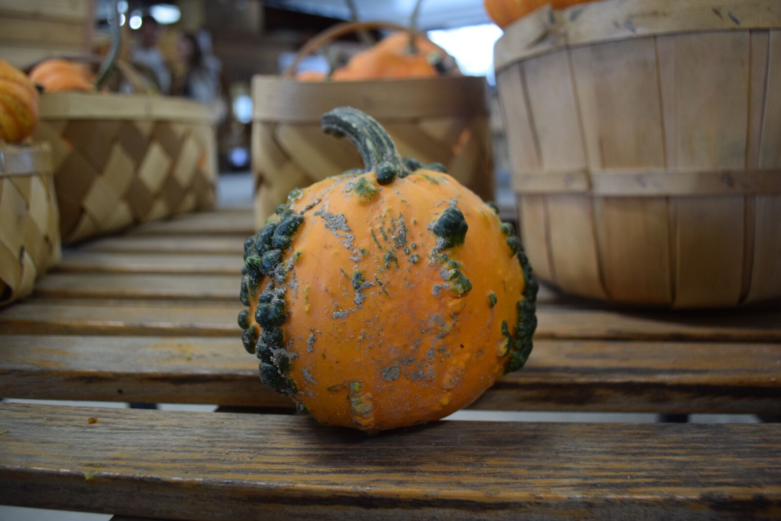 Nikon D3300 sample photo. Pumpkin, small, orange photography