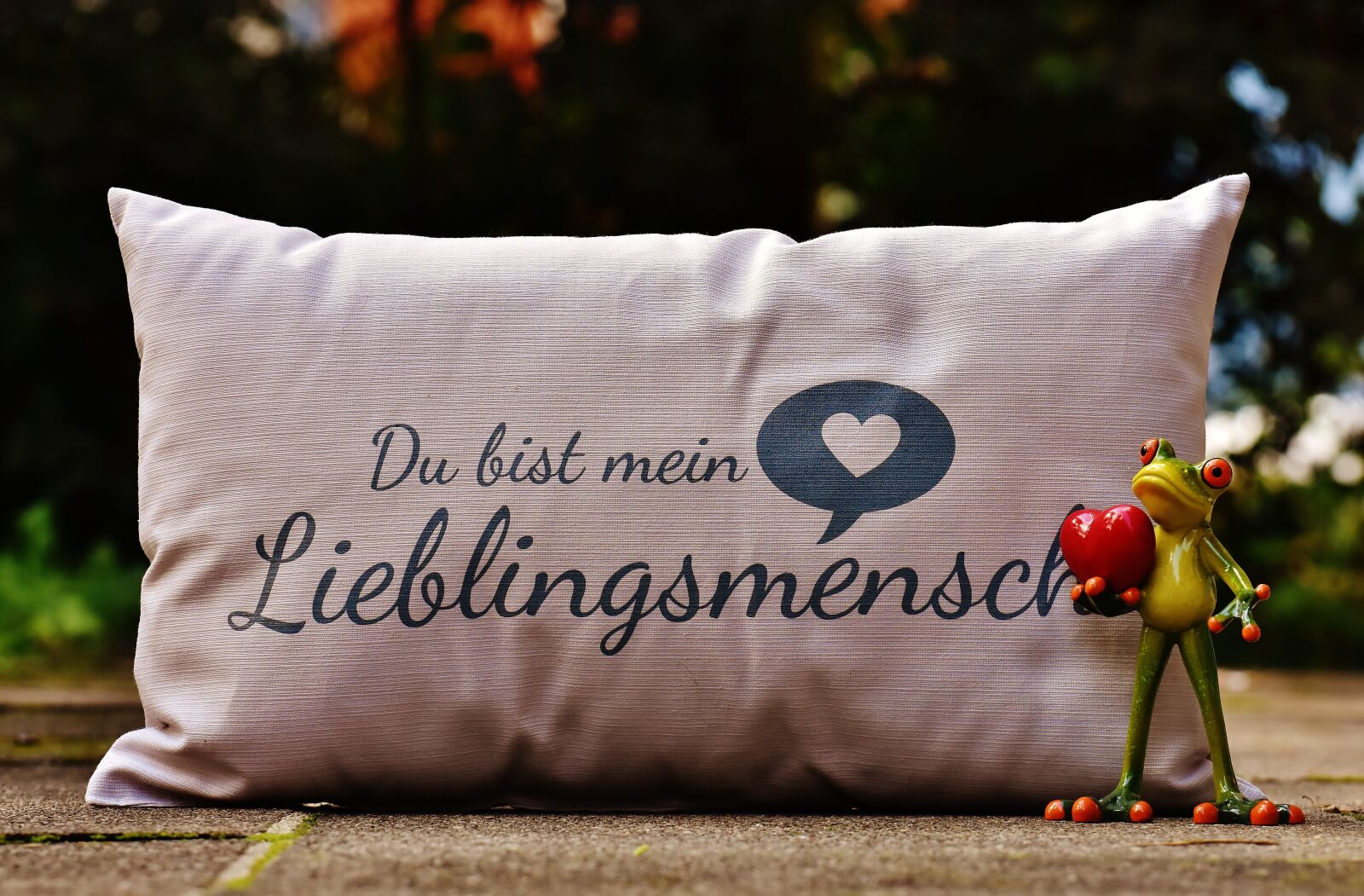 Nikon D7200 sample photo. Pillow, love, heart photography