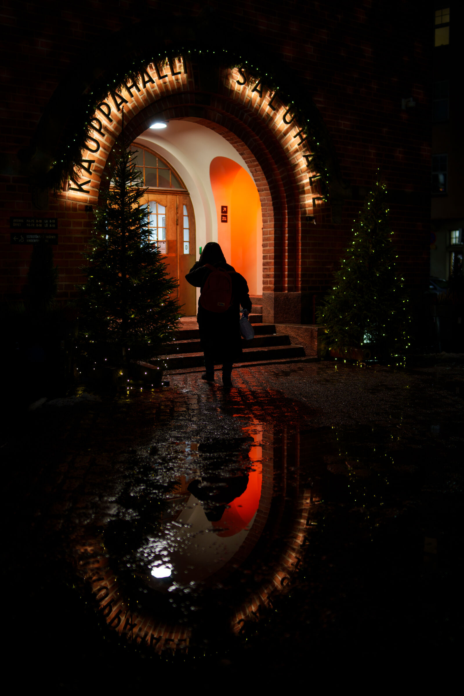 Samyang AF 35mm F1.4 P sample photo. Towards the light photography