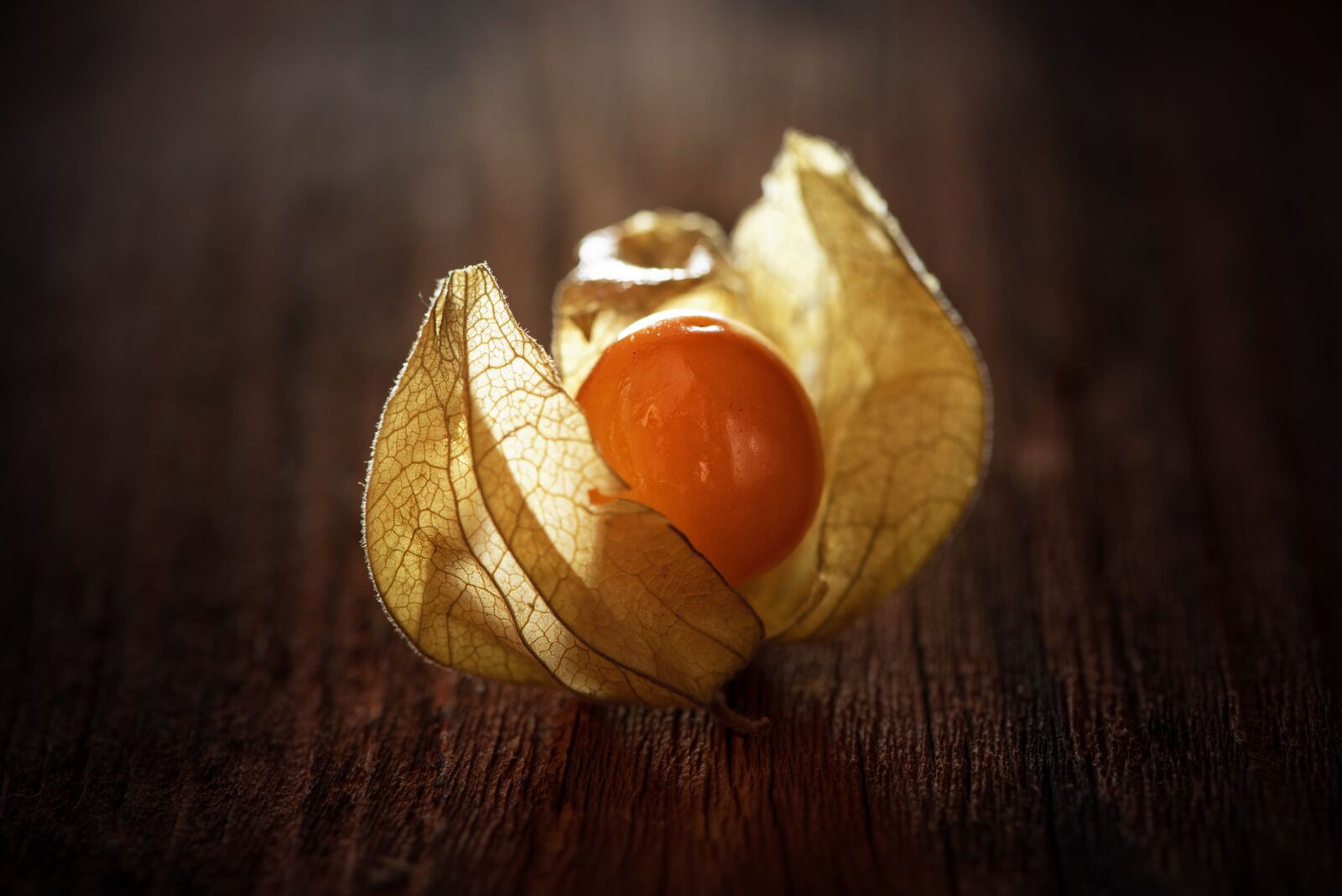Nikon D750 sample photo. Physalis, physalis peruviana, cape photography