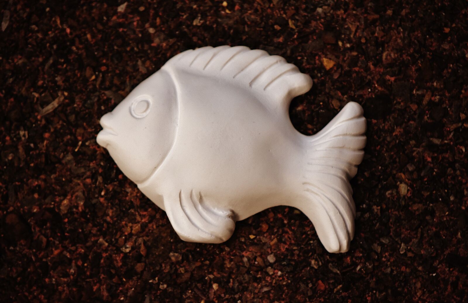 Nikon D7200 sample photo. Fish, gypsum, blank photography