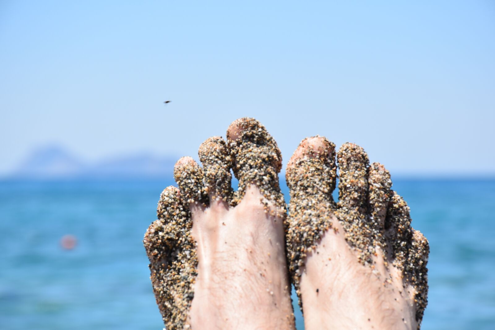 Nikon D5500 sample photo. Summer, feet, sea photography