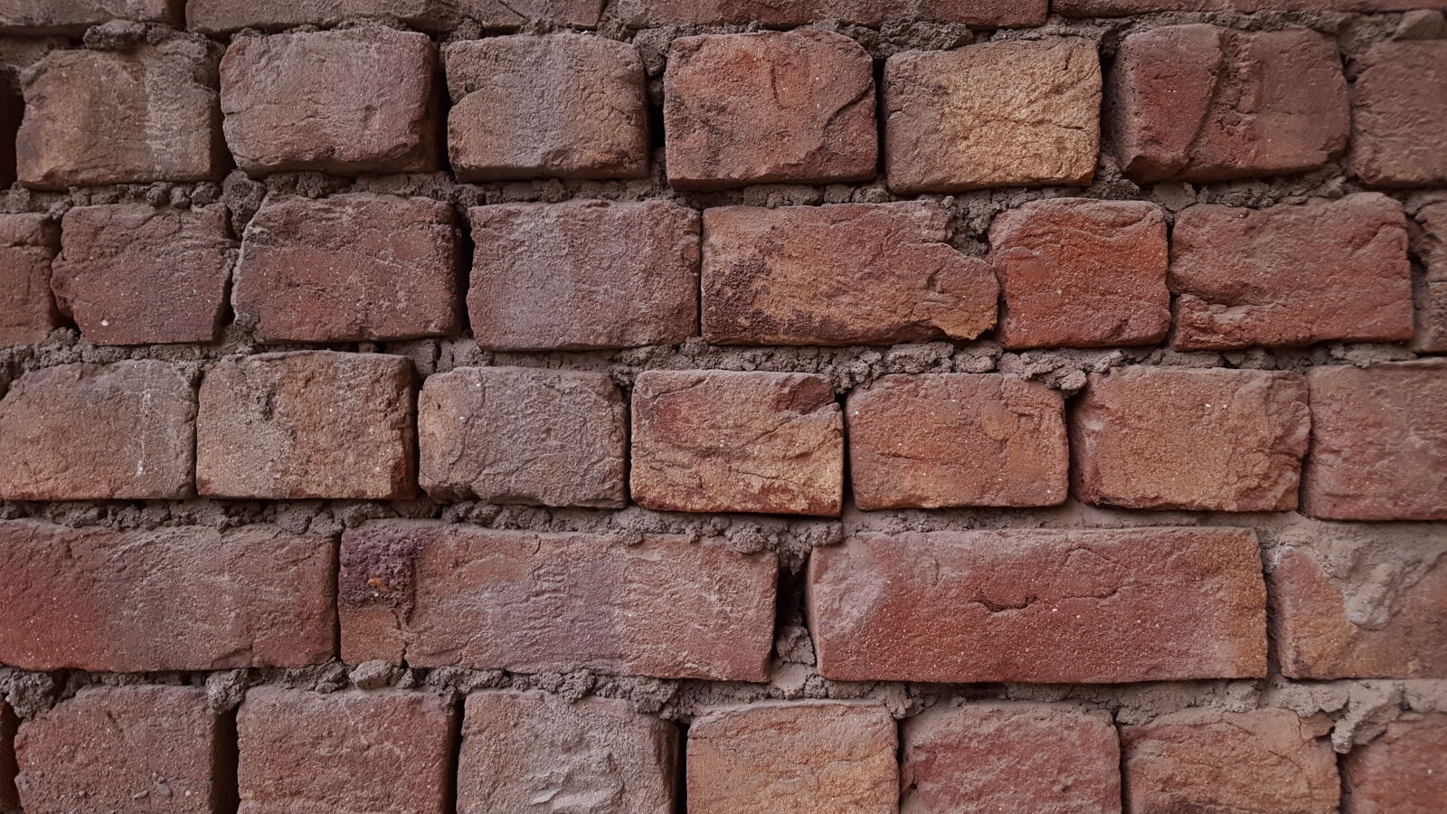 Samsung Galaxy S6 sample photo