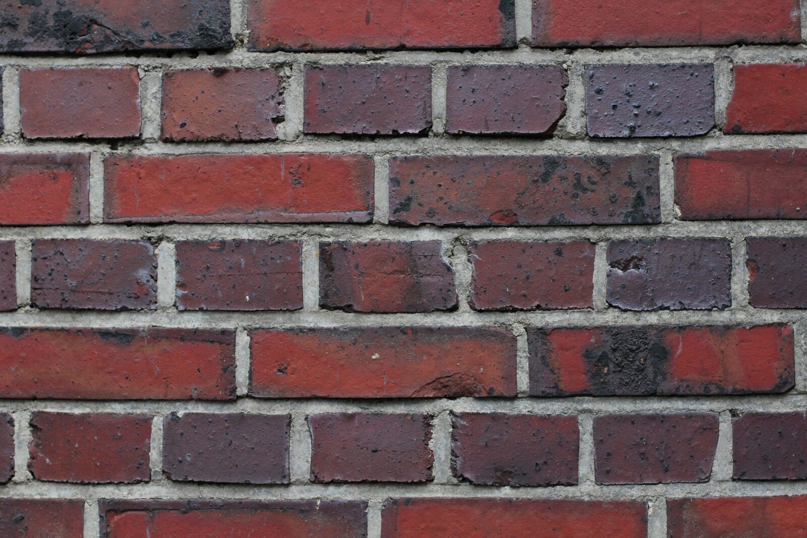 Canon EOS 600D (Rebel EOS T3i / EOS Kiss X5) + Canon EF 50mm F1.4 USM sample photo. Wall, wall stone, clinker photography