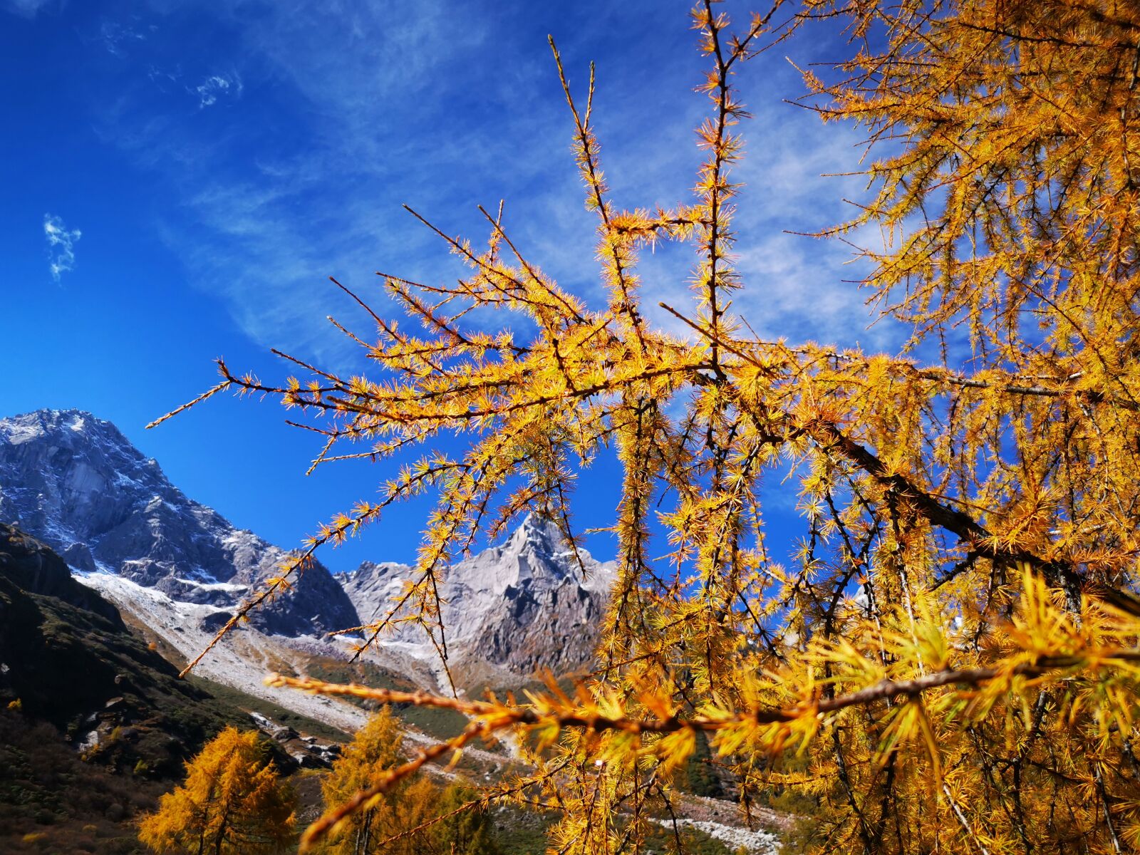 HUAWEI Mate 20 Pro sample photo. Autumn, blue sky, tree photography