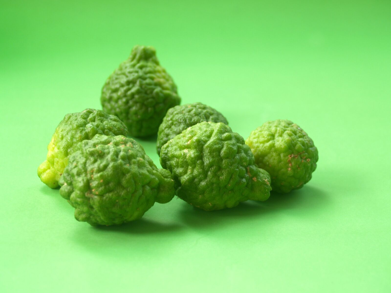 Olympus E-300 (EVOLT E-300) sample photo. Bergamot, fruit, leaf photography
