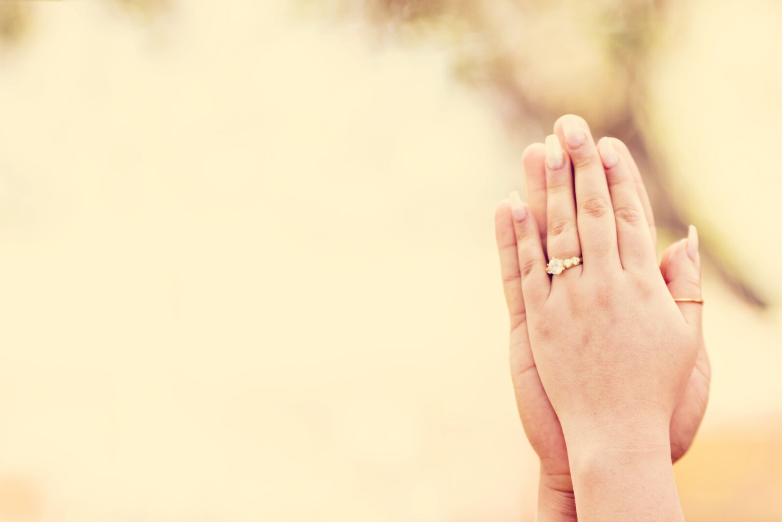 Nikon D750 sample photo. Hands, couple, people photography