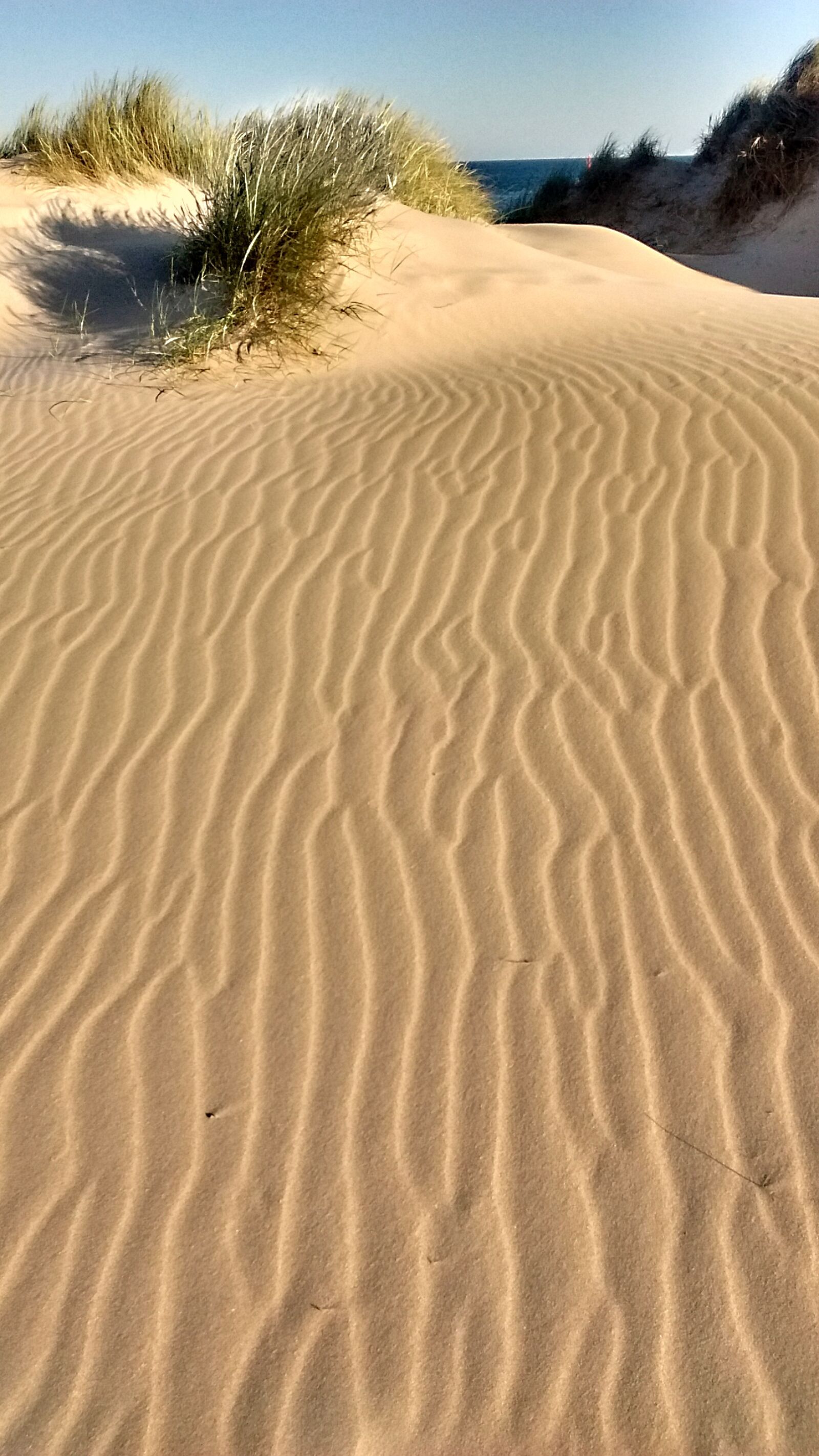 Motorola Moto E with 4G LTE (2nd Gen) sample photo. Dune, sand, landscape photography