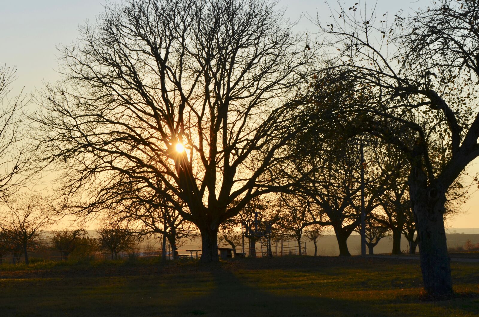 Nikon D5100 sample photo. Tree, landscape, nature photography