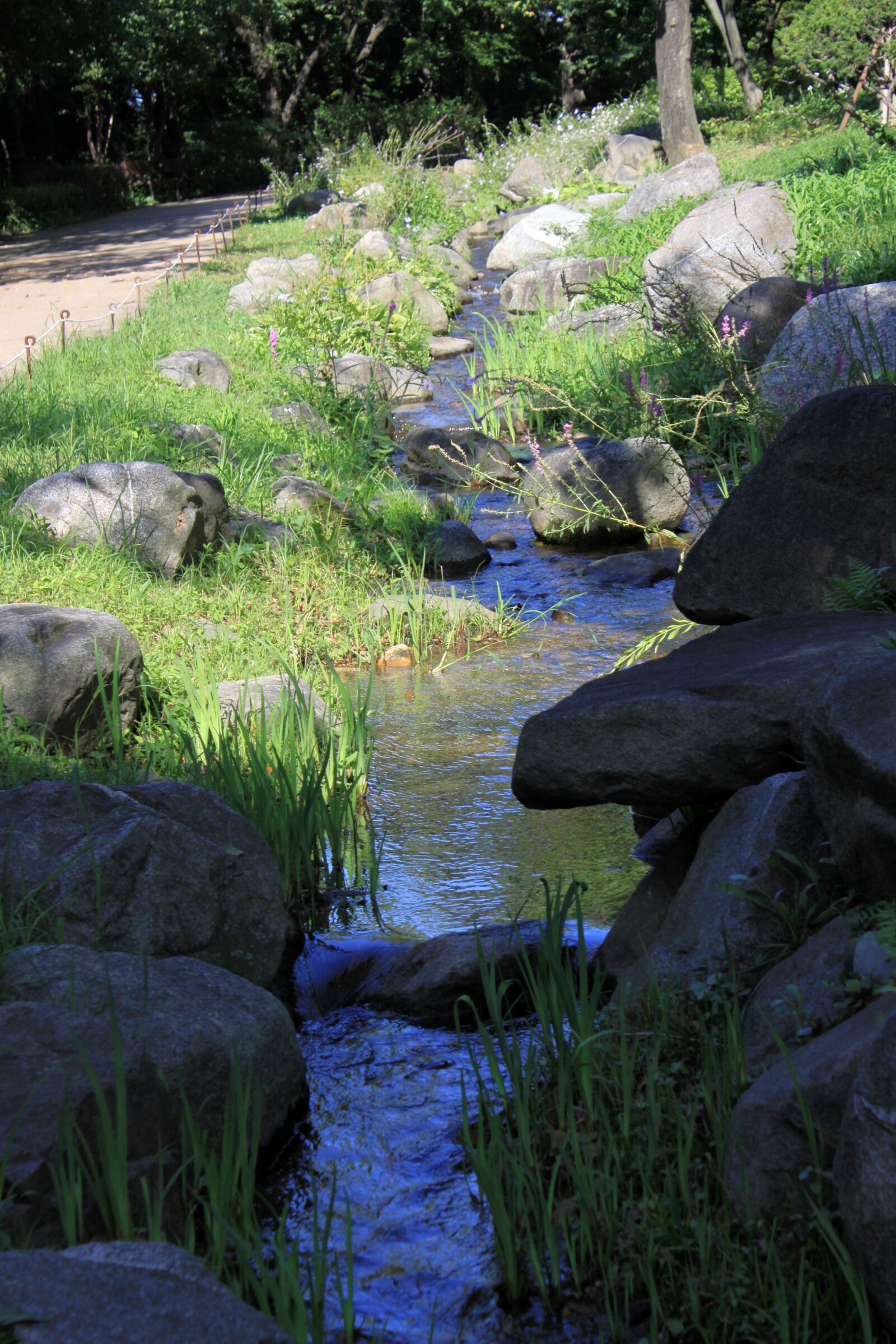 Canon EOS 50D sample photo. Creek, streams, nature photography