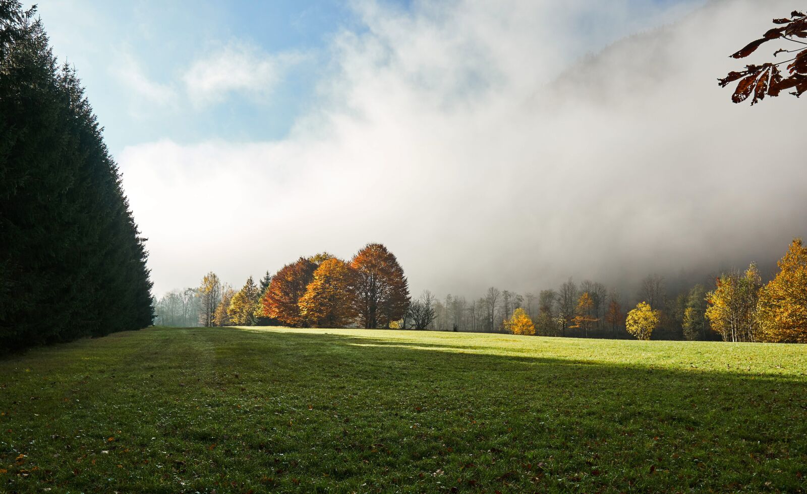 Sony a6300 + Sigma 16mm F1.4 DC DN | C sample photo. Hagertal, landscape, tyrol photography