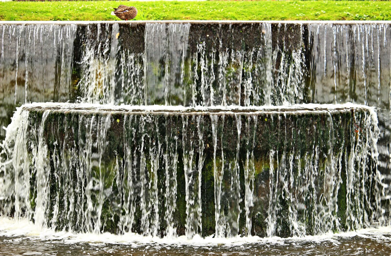 Canon EOS 100D (EOS Rebel SL1 / EOS Kiss X7) sample photo. Ludwigslust-parchim, basin, water photography