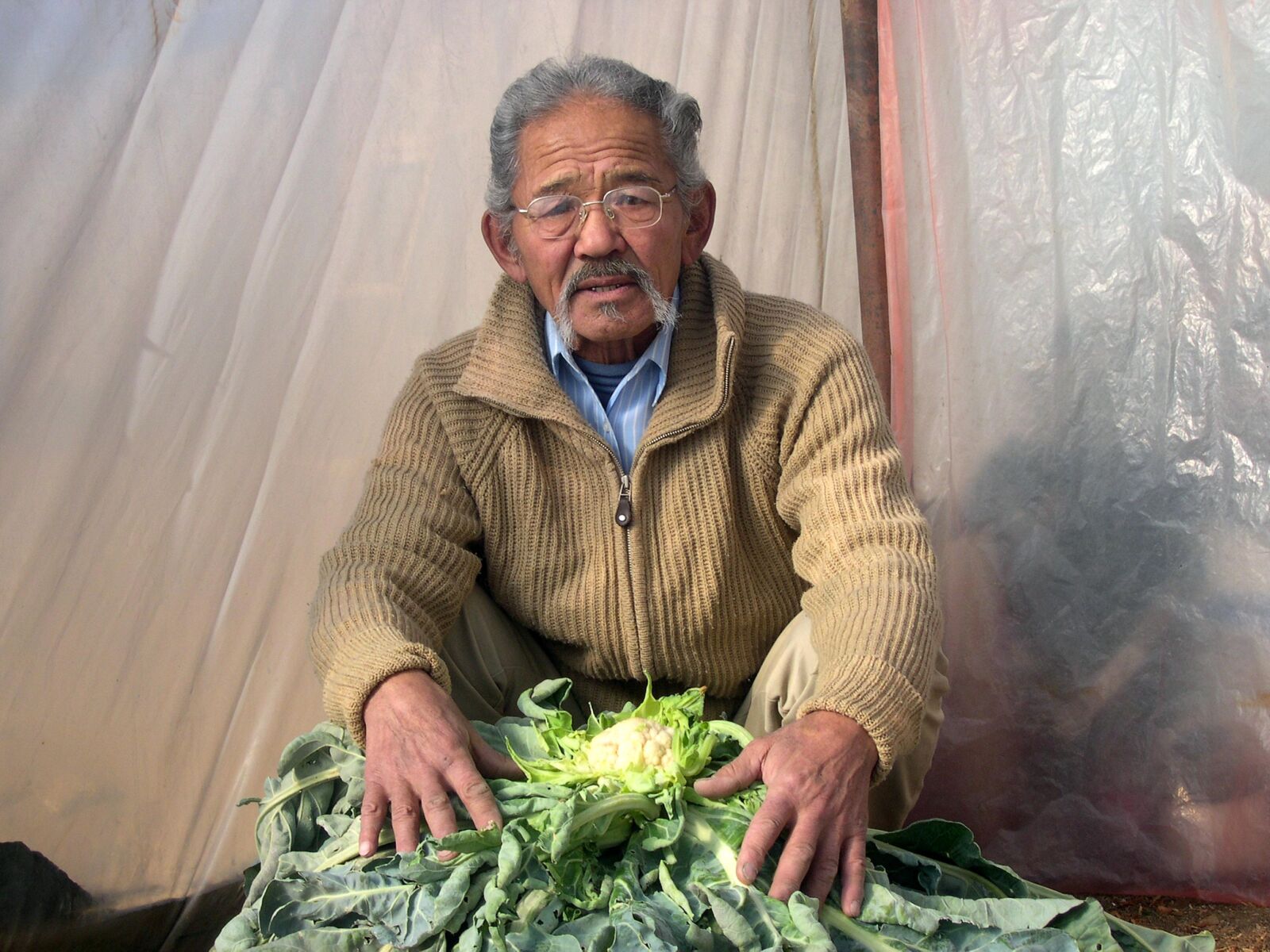 Nikon E4300 sample photo. Mongolian, farmer, vegetable photography