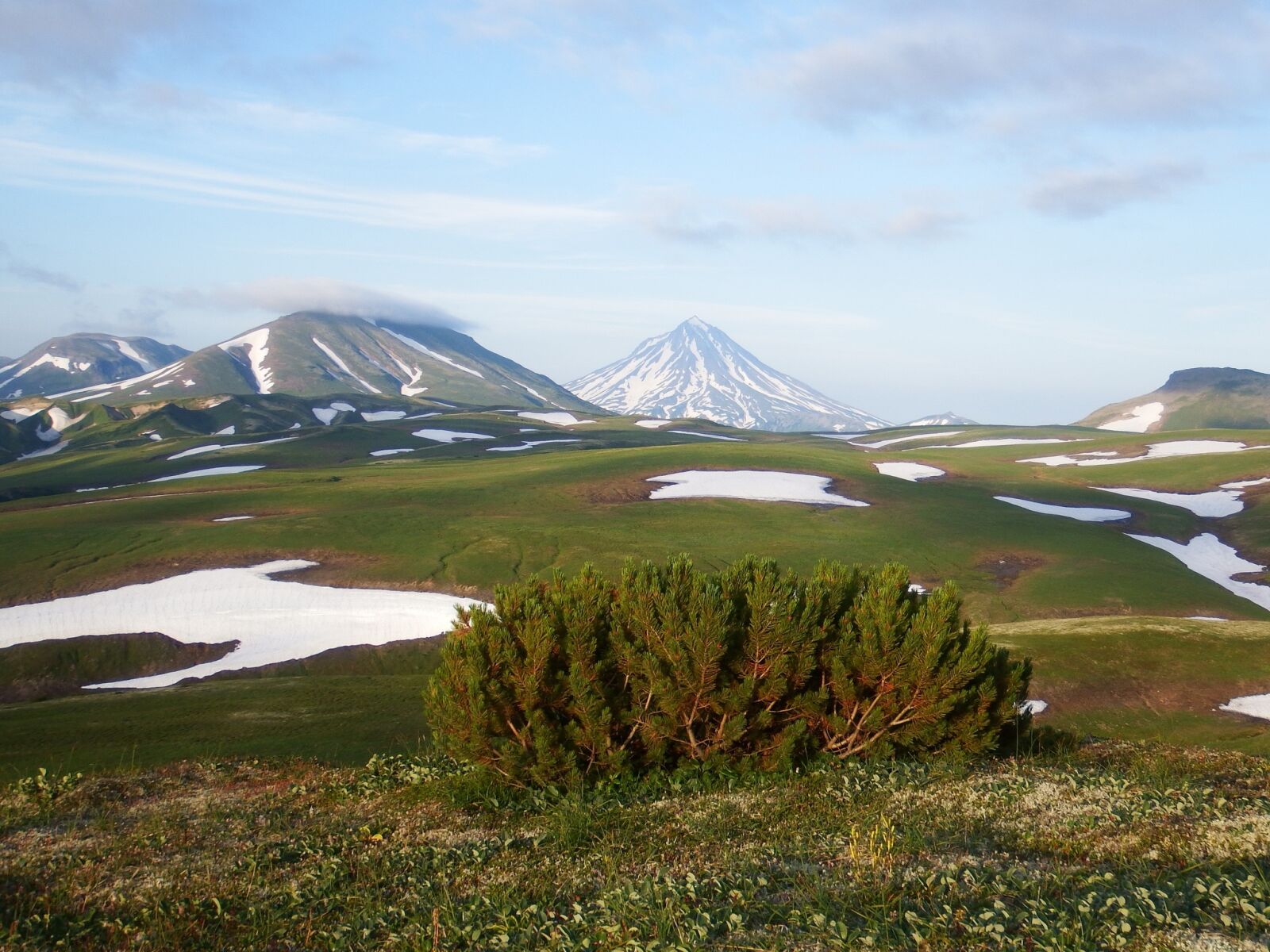 Fujifilm FinePix S1 sample photo. Kamchatka, mountain plateau, tundra photography