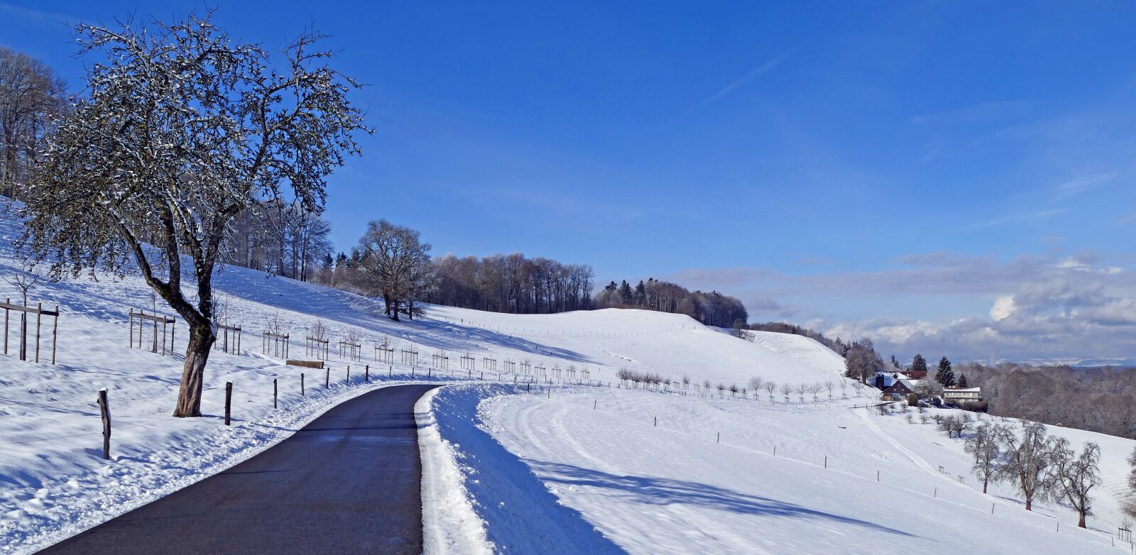 Panasonic Lumix DMC-FZ1000 sample photo. Landscape, switzerland, winter photography