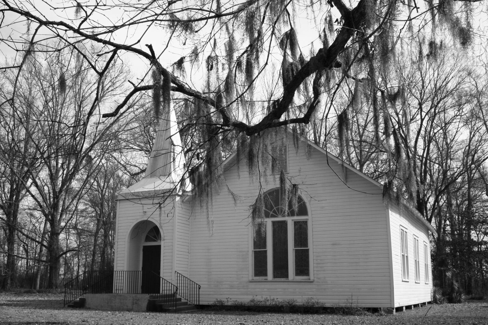 Canon EOS 350D (EOS Digital Rebel XT / EOS Kiss Digital N) sample photo. Moss, old, church photography