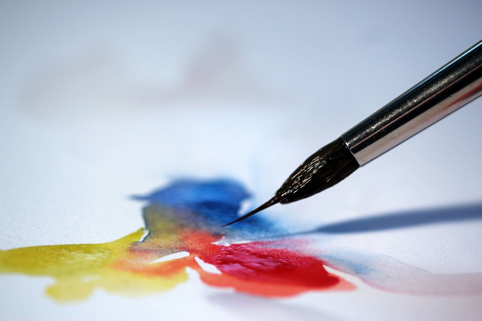 Canon EF-S 60mm F2.8 Macro USM sample photo. Brush, watercolour, color photography