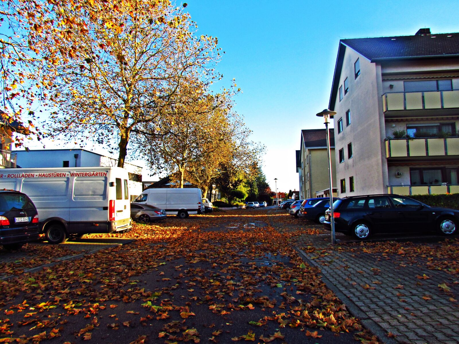 Canon PowerShot SX30 IS sample photo. Street, autumn, foliage photography