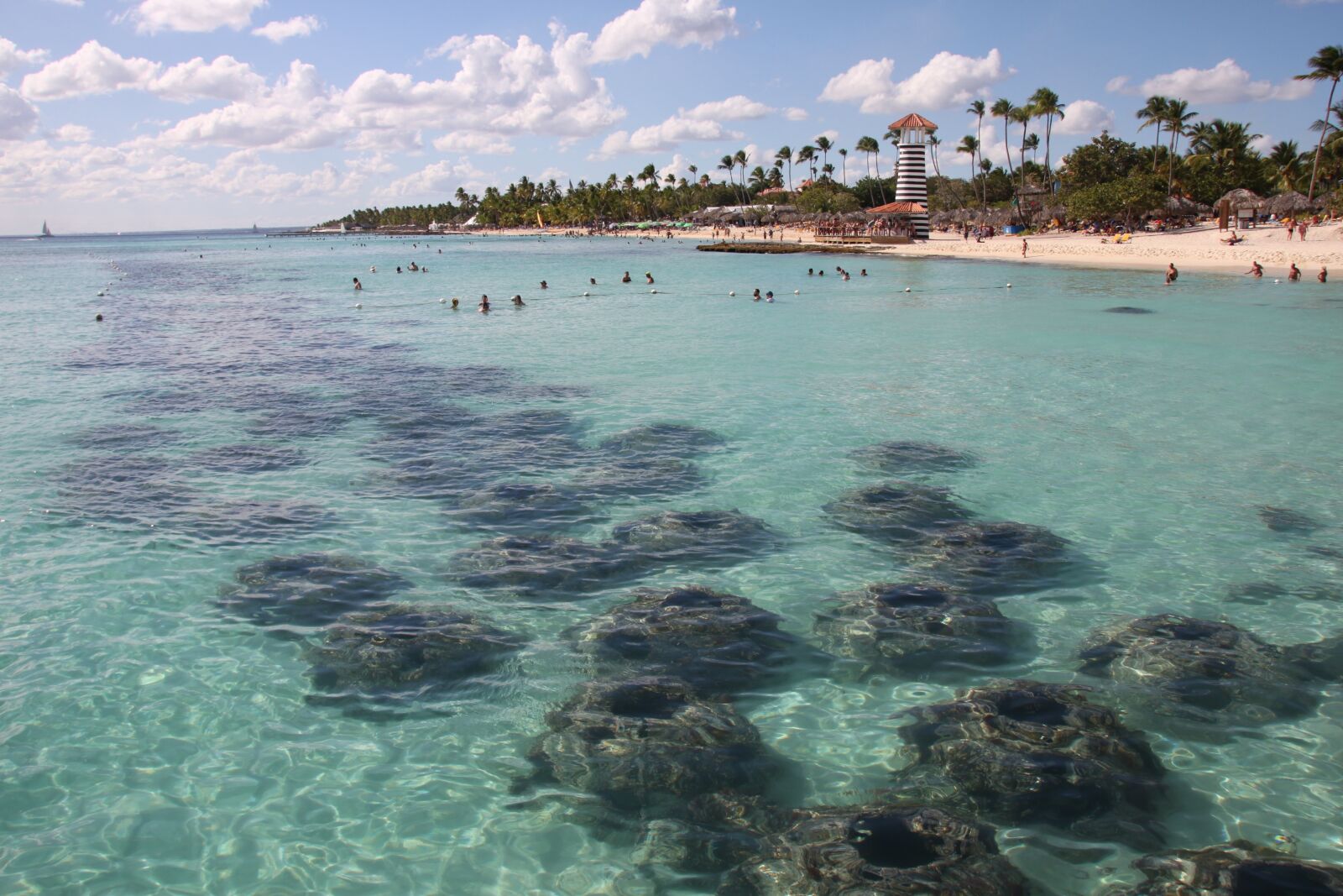 Canon EOS 500D (EOS Rebel T1i / EOS Kiss X3) sample photo. Dominican republic, island, beach photography